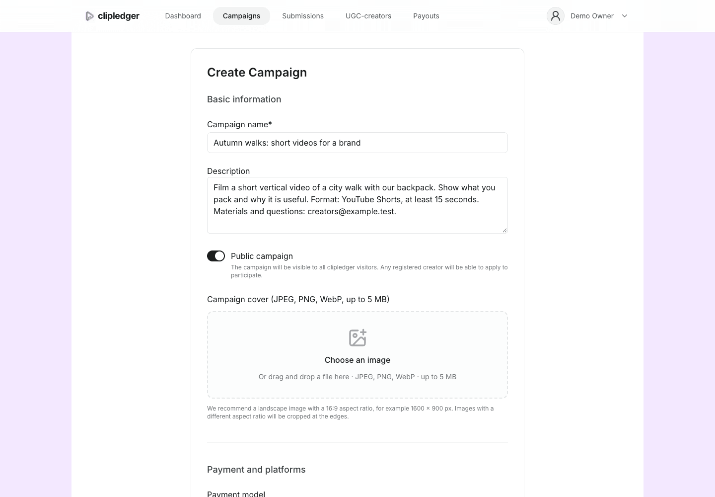 Basic information: campaign name, description and the public campaign switch turned on.
