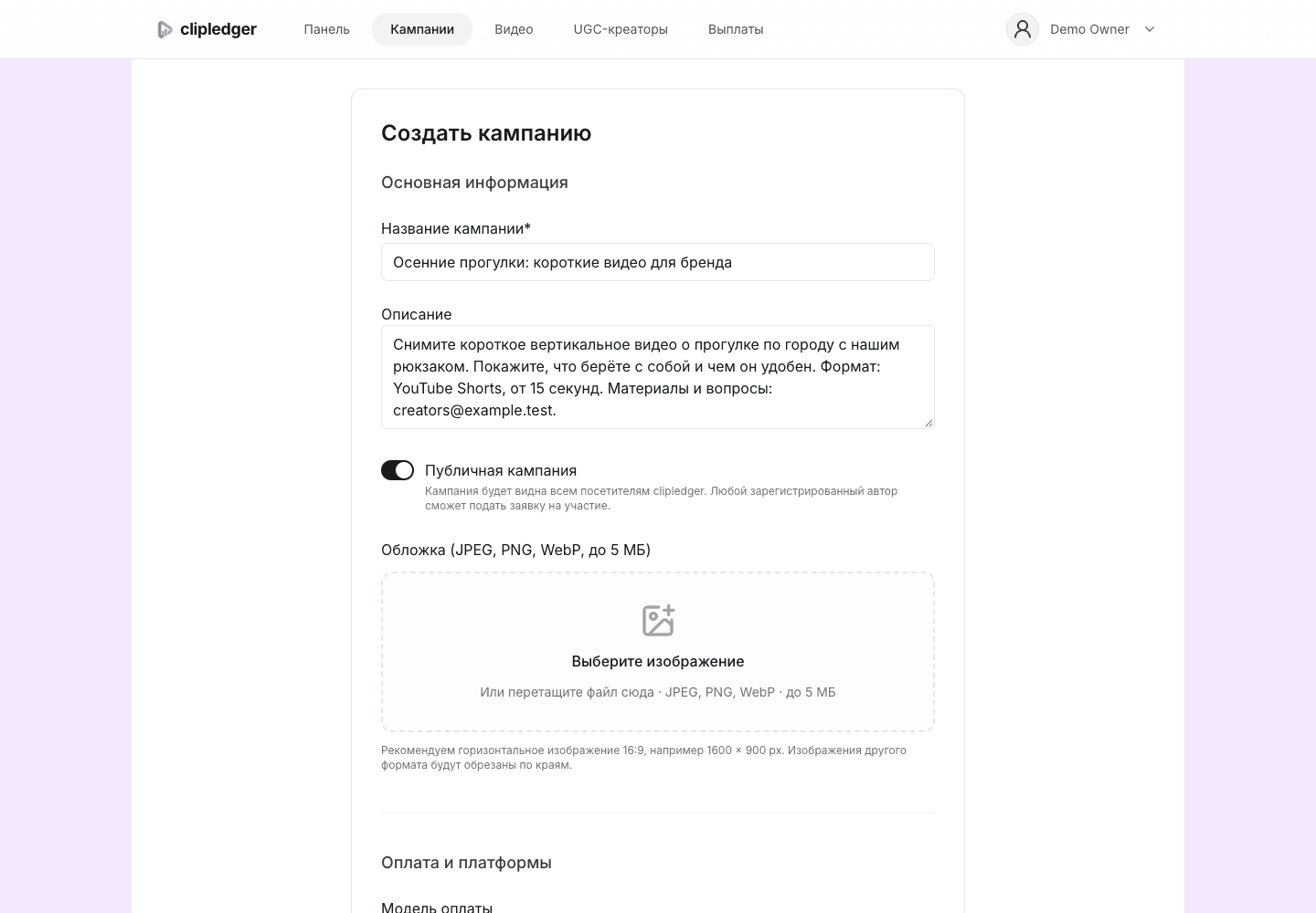 Основная информация: название, описание и включённая публичная кампания.